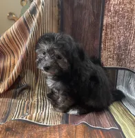 processed/07235f13-d872-4f1a-814f-2838f81bab53/listing/e8cfbd59-9e88-471d-a877-2f3c0ebe42ac/35cc0bec-7968-43fd-b78b-1b8497a865fb