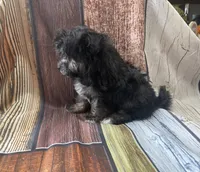 processed/07235f13-d872-4f1a-814f-2838f81bab53/listing/e8cfbd59-9e88-471d-a877-2f3c0ebe42ac/59ec100f-f300-4906-9bbe-c626aa3e071b