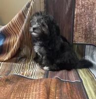 processed/07235f13-d872-4f1a-814f-2838f81bab53/listing/e8cfbd59-9e88-471d-a877-2f3c0ebe42ac/5ff0c743-2056-4ccf-8edc-0c2192cc777e