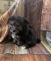 processed/07235f13-d872-4f1a-814f-2838f81bab53/listing/e8cfbd59-9e88-471d-a877-2f3c0ebe42ac/8e0d2967-0a71-4c9e-a59d-b50ba70286df