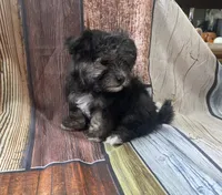 processed/07235f13-d872-4f1a-814f-2838f81bab53/listing/e8cfbd59-9e88-471d-a877-2f3c0ebe42ac/9fdadc54-decf-4690-8c8d-caa285d98769