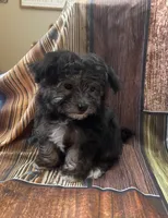 processed/07235f13-d872-4f1a-814f-2838f81bab53/listing/e8cfbd59-9e88-471d-a877-2f3c0ebe42ac/aefc7367-6e89-41ad-9332-e47b3409fc6e