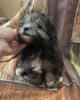 processed/07235f13-d872-4f1a-814f-2838f81bab53/listing/e8cfbd59-9e88-471d-a877-2f3c0ebe42ac/b51226a2-29e6-47fe-bc98-328f9c875669