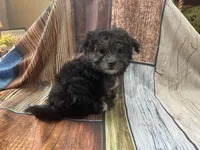 processed/07235f13-d872-4f1a-814f-2838f81bab53/listing/e8cfbd59-9e88-471d-a877-2f3c0ebe42ac/ea673cf5-98b4-447f-97a7-fc166249ac51