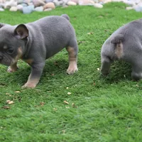 processed/0727833c-ded3-4751-9f29-86ddde59aeeb/facility/5d48bd01-1610-4653-a809-2cd9fd3cc55f