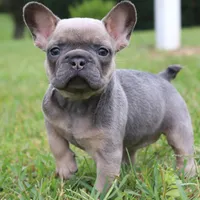 processed/0727833c-ded3-4751-9f29-86ddde59aeeb/facility/8b3294da-63f8-4617-9cf7-e76a8e8b4c7a