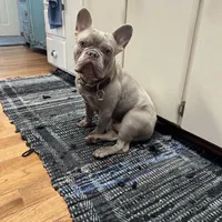 processed/0727833c-ded3-4751-9f29-86ddde59aeeb/facility/c0bf240b-dd4a-48b1-a1d1-6510242b9f5e