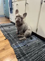 processed/0727833c-ded3-4751-9f29-86ddde59aeeb/facility/c0bf240b-dd4a-48b1-a1d1-6510242b9f5e