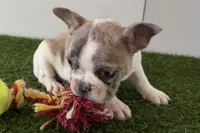 processed/0727833c-ded3-4751-9f29-86ddde59aeeb/listing/610824ec-0d44-4ef3-a039-2d25d81b3f32/1363a42e-061e-42ff-8af6-cb01870cd6a1