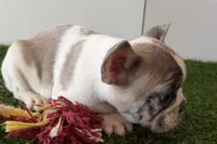 processed/0727833c-ded3-4751-9f29-86ddde59aeeb/listing/610824ec-0d44-4ef3-a039-2d25d81b3f32/310581b7-04ab-439b-8531-14c402b218a0