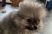 processed/0727833c-ded3-4751-9f29-86ddde59aeeb/listing/825cacf1-0553-4322-8f94-29ba7a32811c/2bb2d92c-fc0c-4a85-b166-b9976a0c6bfb