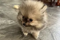 processed/0727833c-ded3-4751-9f29-86ddde59aeeb/listing/825cacf1-0553-4322-8f94-29ba7a32811c/3e3c66cc-cdbe-489b-9cb3-17baf425686f