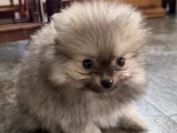 processed/0727833c-ded3-4751-9f29-86ddde59aeeb/listing/825cacf1-0553-4322-8f94-29ba7a32811c/474d35b7-374d-4b8d-943c-931676b62407