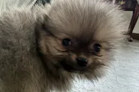 processed/0727833c-ded3-4751-9f29-86ddde59aeeb/listing/825cacf1-0553-4322-8f94-29ba7a32811c/7d89a067-6534-41db-b757-949cceab1640