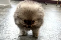 processed/0727833c-ded3-4751-9f29-86ddde59aeeb/listing/825cacf1-0553-4322-8f94-29ba7a32811c/c8e31b67-969f-4681-9065-cb38bdb7eb36