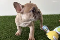 processed/0727833c-ded3-4751-9f29-86ddde59aeeb/listing/82dbcf11-1f7e-435d-b272-ff9a5ccd5af5/15d9c0d1-87cf-4853-af1b-6062682426df