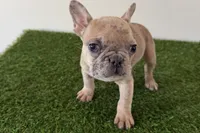 processed/0727833c-ded3-4751-9f29-86ddde59aeeb/listing/82dbcf11-1f7e-435d-b272-ff9a5ccd5af5/592bcb32-7197-4326-a617-b99f1661b0a2