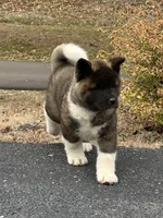 processed/07283c22-3368-49c8-8578-0fa3035fc154/listing/b4840e93-0789-4add-ba66-a0707025bfd9/75d0c014-3844-4ffc-a0f9-a62fd3cc61c6