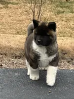 processed/07283c22-3368-49c8-8578-0fa3035fc154/listing/b4840e93-0789-4add-ba66-a0707025bfd9/9992b925-1e45-41cd-9bec-3e2fc69055e6