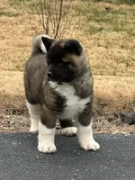 processed/07283c22-3368-49c8-8578-0fa3035fc154/listing/b4840e93-0789-4add-ba66-a0707025bfd9/a9d0a59c-cbdd-43aa-b1c5-702c828562d6