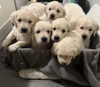 processed/0728fb72-1ce9-4c0e-9c85-5814eb692ea7/facility/1d9264cd-9a16-41f3-8225-4b74b2bf697f