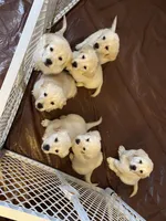 processed/0728fb72-1ce9-4c0e-9c85-5814eb692ea7/facility/43d739d9-5c47-4ea7-af89-fe34ffd16456