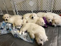 processed/0728fb72-1ce9-4c0e-9c85-5814eb692ea7/facility/afbe91f7-40ba-4c22-b800-a473c05e4cd4