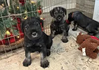 processed/072b1e1c-a9fd-4b82-b0af-df0c3e662e2d/listing/2fb45200-92bf-4b1d-bb9f-16673669b255/05a1cefd-9d40-4d73-9ae6-ab091d8b438d