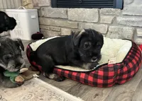 processed/072b1e1c-a9fd-4b82-b0af-df0c3e662e2d/listing/2fb45200-92bf-4b1d-bb9f-16673669b255/20c1bf84-1ee7-4dc8-bb27-b00cbb373339