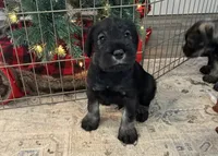 processed/072b1e1c-a9fd-4b82-b0af-df0c3e662e2d/listing/2fb45200-92bf-4b1d-bb9f-16673669b255/2bbfa9c8-16ed-43e1-b844-4cf81644e5fa