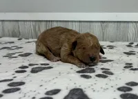 processed/072b1e1c-a9fd-4b82-b0af-df0c3e662e2d/listing/402d347c-3ddd-4c6d-a44f-7af92257eaf9/324b26c0-ef3a-4591-9ea2-13d39c0841b0