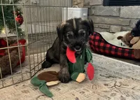 processed/072b1e1c-a9fd-4b82-b0af-df0c3e662e2d/listing/89df27b1-4e0f-4d0f-882e-83e75bdf6a97/57f7af77-fe8a-4a1f-8980-5b5a7c18c605