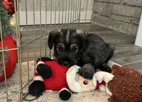 processed/072b1e1c-a9fd-4b82-b0af-df0c3e662e2d/listing/89df27b1-4e0f-4d0f-882e-83e75bdf6a97/6464ef3f-e69e-4c57-af2b-f6dc6d9e8e81