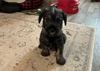 processed/072b1e1c-a9fd-4b82-b0af-df0c3e662e2d/listing/89df27b1-4e0f-4d0f-882e-83e75bdf6a97/bb0776be-e6b6-4677-9a5e-697a2873cc5f