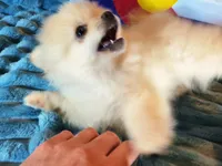 processed/072d4f58-c287-4f7c-88a6-a43b9c6c5b0b/listing/16e619ea-6cbd-456b-9745-ade95c6455b1/05e75526-fb78-43df-88a0-ca6c6ae0265e