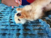 processed/072d4f58-c287-4f7c-88a6-a43b9c6c5b0b/listing/16e619ea-6cbd-456b-9745-ade95c6455b1/2ff2284b-937b-4f0a-976e-da62acb919c0