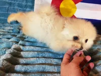 processed/072d4f58-c287-4f7c-88a6-a43b9c6c5b0b/listing/16e619ea-6cbd-456b-9745-ade95c6455b1/3f74f25b-c2ec-475d-8b4a-31b579254fd8