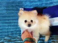 processed/072d4f58-c287-4f7c-88a6-a43b9c6c5b0b/listing/16e619ea-6cbd-456b-9745-ade95c6455b1/4f7f5bd2-4b80-4694-9c32-adf83cd0bb30