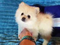 processed/072d4f58-c287-4f7c-88a6-a43b9c6c5b0b/listing/16e619ea-6cbd-456b-9745-ade95c6455b1/bd8f782c-18c1-4eae-ba0a-be4498a1512f