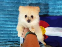 processed/072d4f58-c287-4f7c-88a6-a43b9c6c5b0b/listing/16e619ea-6cbd-456b-9745-ade95c6455b1/e6e19590-76cf-49fe-8fa5-93bd101a8b1b