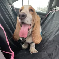 processed/07351ef1-0942-452a-b3ee-49c79a8f8b58/facility/31546bbd-9e8c-4833-b213-4a09358d040d