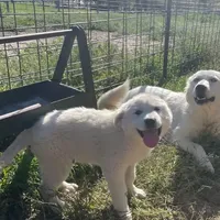 processed/07351ef1-0942-452a-b3ee-49c79a8f8b58/facility/4c59d491-65ec-44fa-a418-688ca59075a0