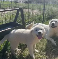 processed/07351ef1-0942-452a-b3ee-49c79a8f8b58/facility/4c59d491-65ec-44fa-a418-688ca59075a0