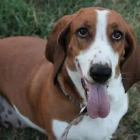 processed/07351ef1-0942-452a-b3ee-49c79a8f8b58/facility/6de0ae8f-2df0-4003-a6ed-2d17eebb91f2