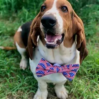 processed/07351ef1-0942-452a-b3ee-49c79a8f8b58/facility/c30aee94-ce87-4943-9090-13fac9a293b5