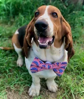 processed/07351ef1-0942-452a-b3ee-49c79a8f8b58/facility/c30aee94-ce87-4943-9090-13fac9a293b5