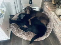 processed/07369445-1f40-43c0-881a-5c66278abb58/facility/9b72c04b-b3f1-4b01-88dc-4c207b351547