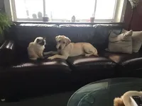 processed/07369445-1f40-43c0-881a-5c66278abb58/facility/9ecb31ec-820c-4220-86df-954b82221bc1