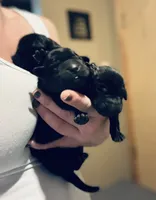 processed/07369445-1f40-43c0-881a-5c66278abb58/listing/7d1556a4-f91d-40c0-9b68-b4accba486f4/48d44a09-b133-4c81-b79c-8084363edff3