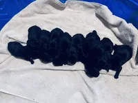 processed/07369445-1f40-43c0-881a-5c66278abb58/listing/7d1556a4-f91d-40c0-9b68-b4accba486f4/73ff209d-f8fa-439a-8f1d-f226f5dd9f8f